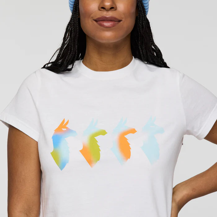 Cotopaxi Cuatro Bitmap T-Shirt — graphic tee, for everyday wear