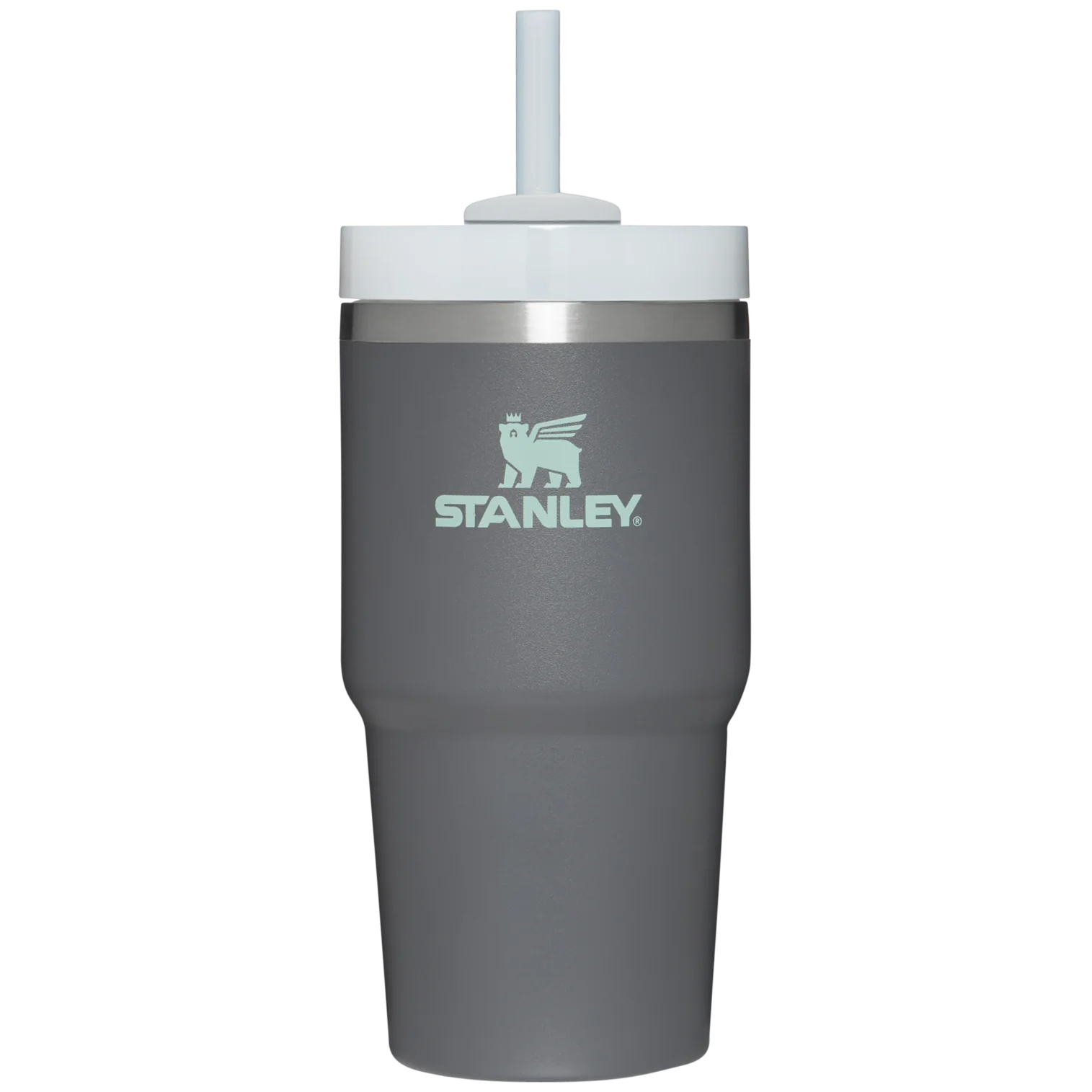 Stanley The Quencher H2.0 Flowstate Tumbler — 20 oz, for everyday hydration, hiking, and camping.