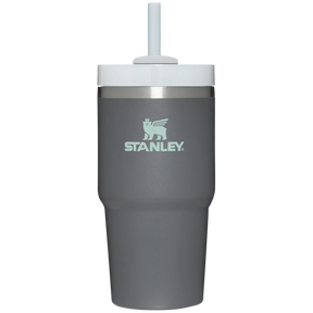 Stanley The Quencher H2.0 Flowstate Tumbler — 20 oz, for everyday hydration, hiking, and camping.
